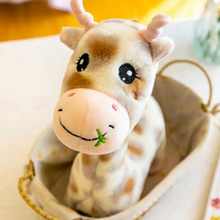 Load image into Gallery viewer, Adorable Giraffe Soft Toy - Tinyminymo