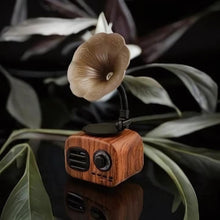 Load image into Gallery viewer, Gramophone Wireless Mini Speaker - Tinyminymo