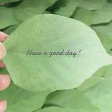 Load image into Gallery viewer, Leaf Sticky Notes - Tinyminymo