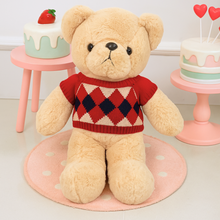Load image into Gallery viewer, Winter Teddy Soft Toy - Tinyminymo