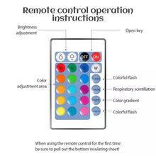 Load image into Gallery viewer, Baby Bunny Night Light - Tinyminymo