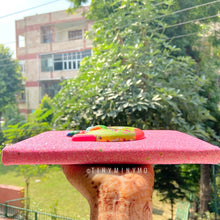 Load image into Gallery viewer, DonutSquishyDiary - Tinyminymo