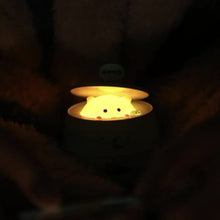 Load image into Gallery viewer, Pig in a Barrel Lamp - Tinyminymo