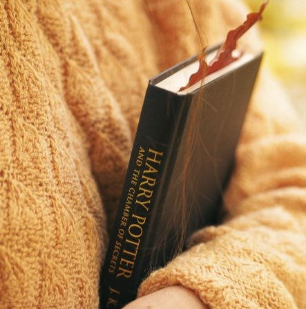 Ideal Gifts For Potterheads: The Ultimate Harry Potter Fans