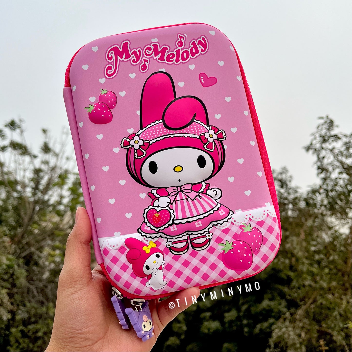 3D Series Sanrio Smiggle Pouch - Tinyminymo