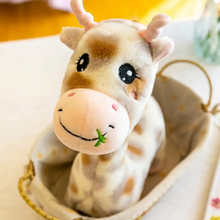 Load image into Gallery viewer, Adorable Giraffe Soft Toy - Tinyminymo
