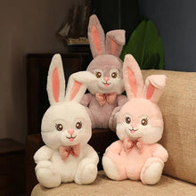 Load image into Gallery viewer, Blue Eye Bunny Soft Toy - Tinyminymo
