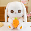 Bunny with Carrot Soft Toy