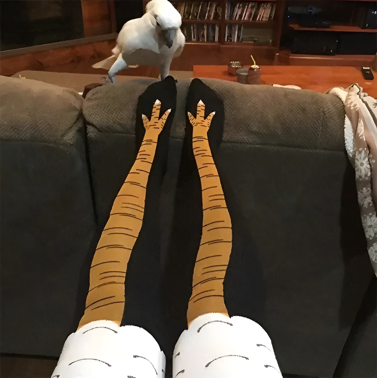 Crazy Chicken Socks - Tinyminymo