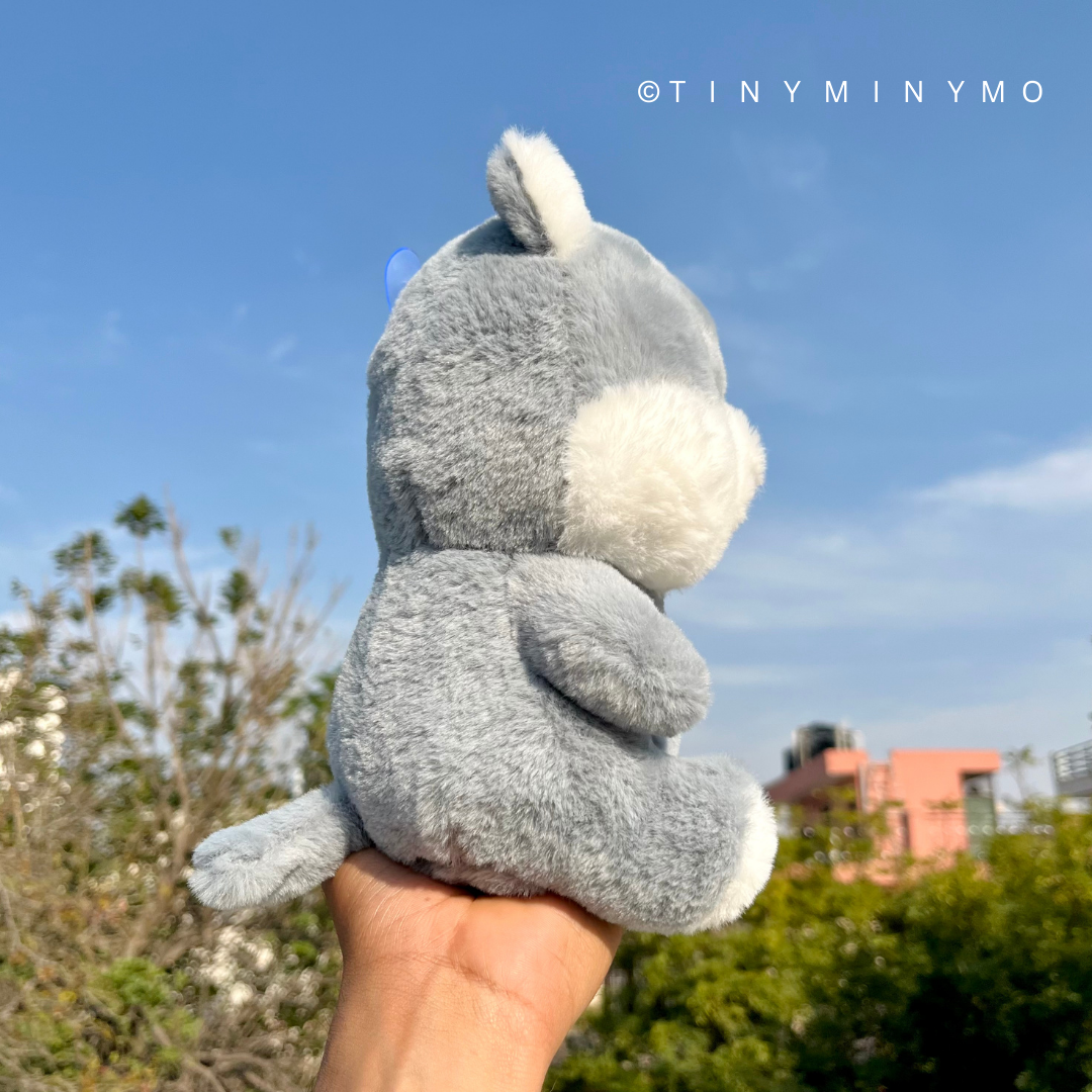 Cute Husky Soft Toy - Tinyminymo