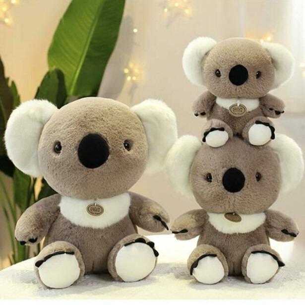 Cute Koala Bear Soft Toy - Tinyminymo
