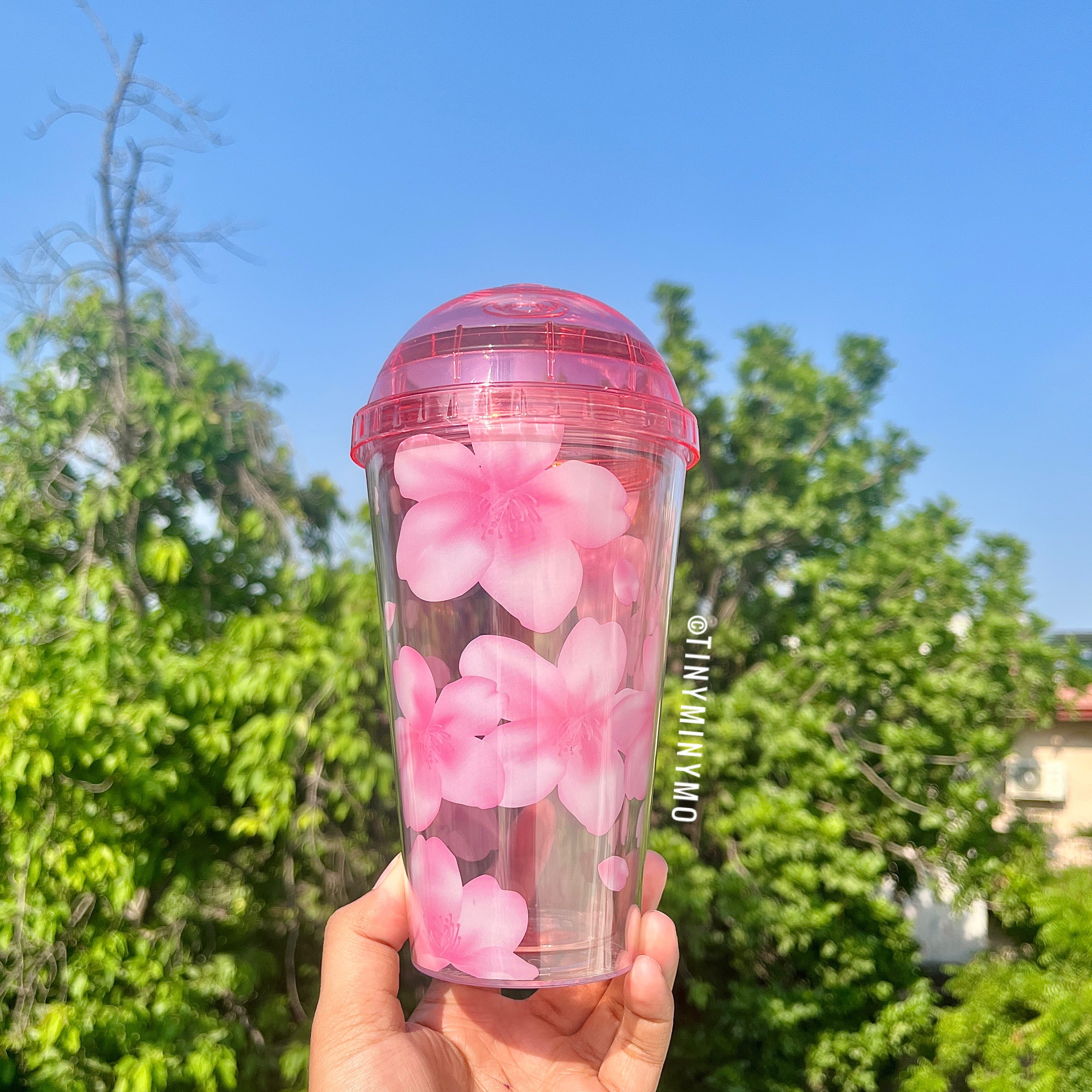 Cute Sakura Sipper - Tinyminymo