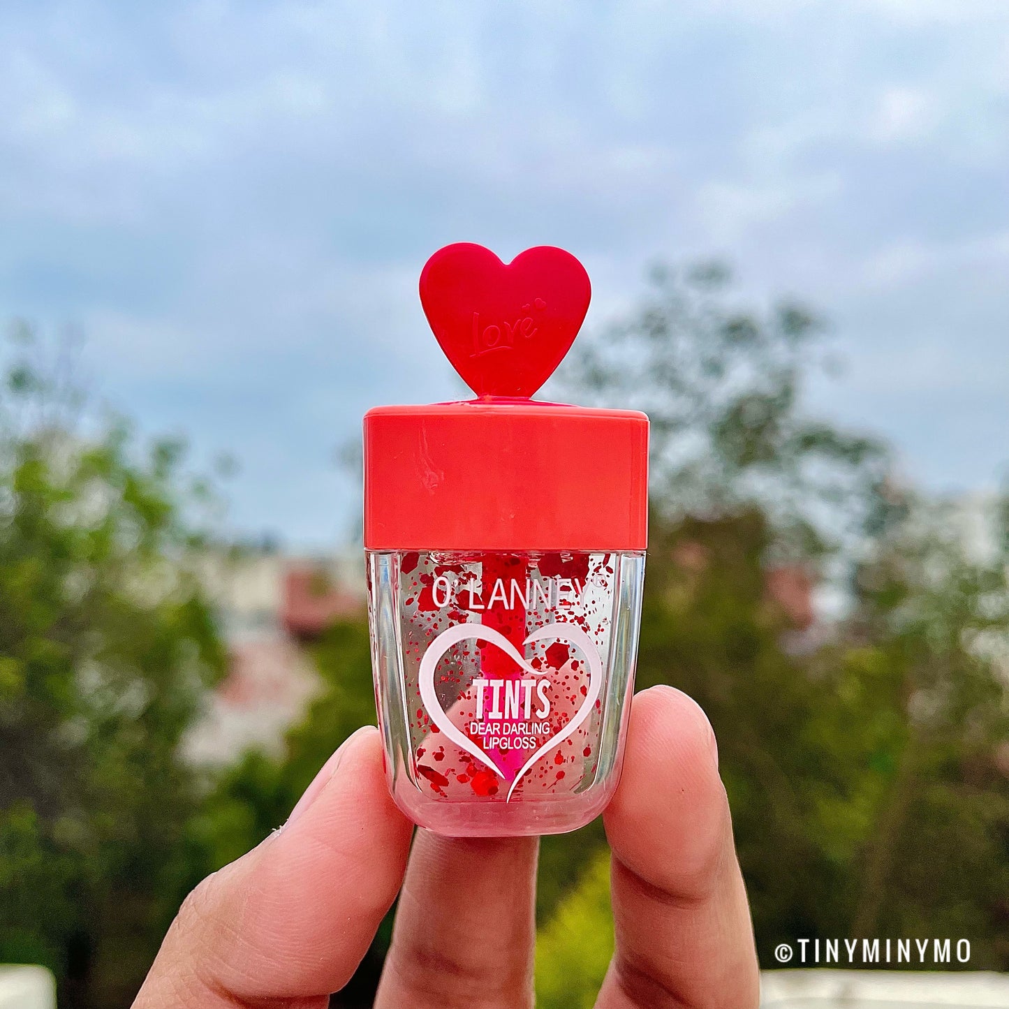 Dear Darling Glitter Lip Gloss - Tinyminymo
