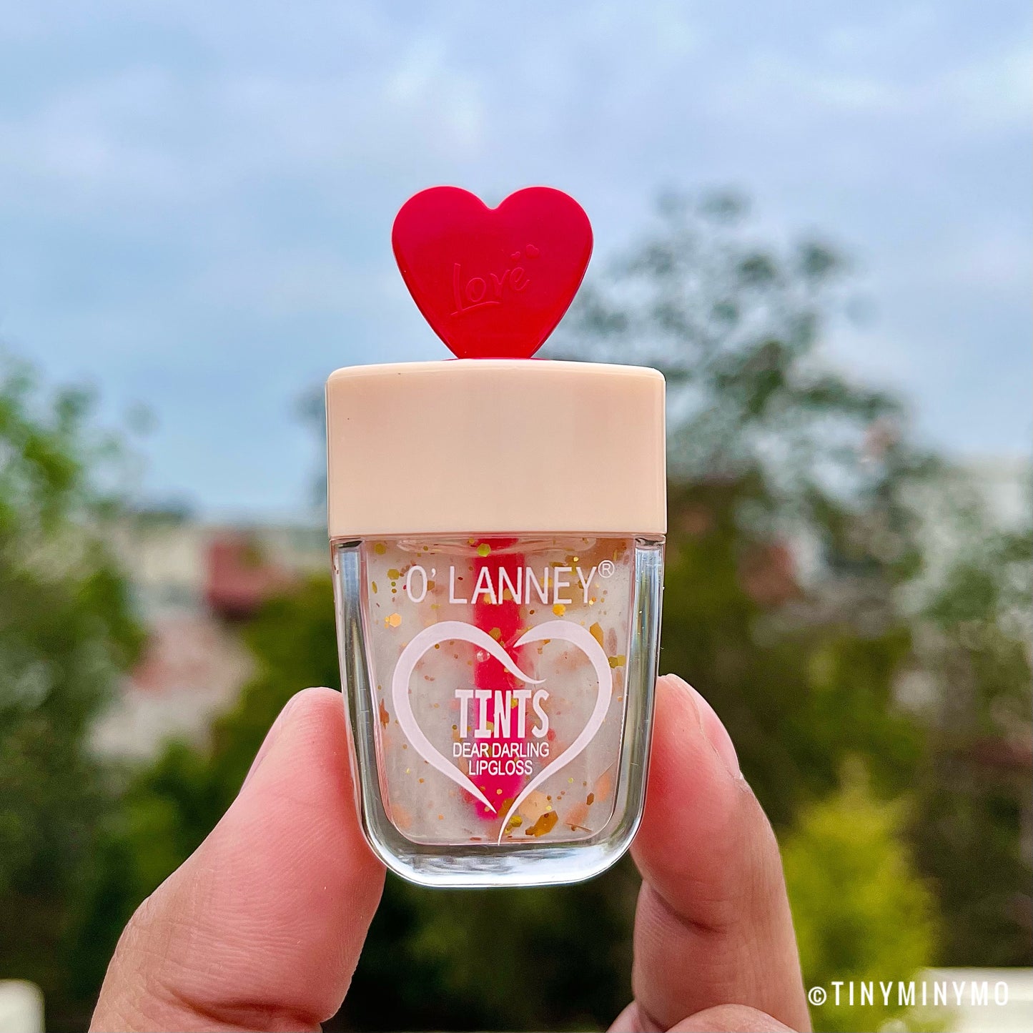 Dear Darling Glitter Lip Gloss - Tinyminymo