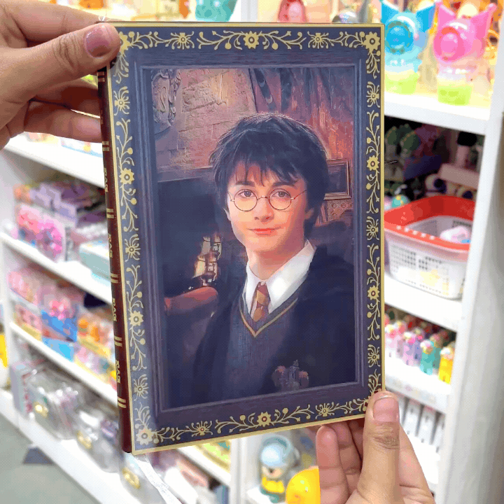 Face Changing Harry Potter Diary - Tinyminymo