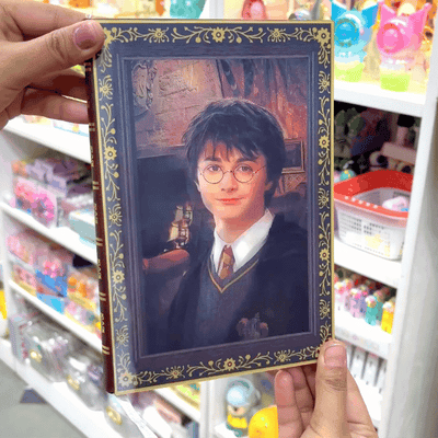 Face Changing Harry Potter Diary