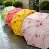 Fruit Automatic Umbrella