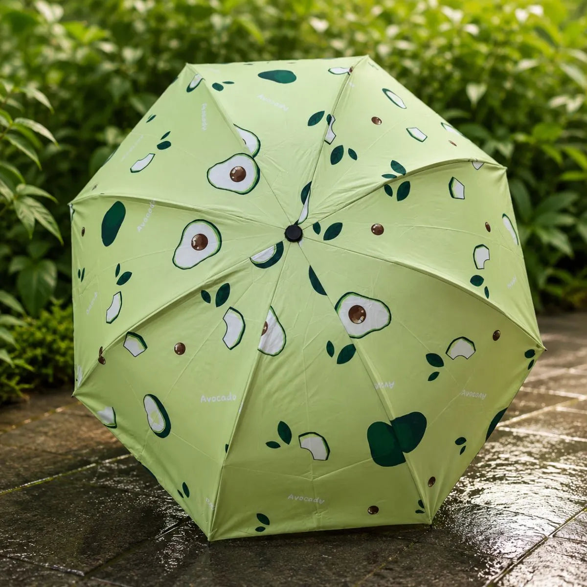 Avocado Design of Fruit Automatic Umbrella - Tinyminymo