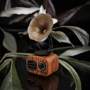 Gramophone Wireless Mini Speaker - Tinyminymo