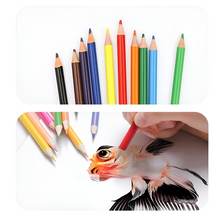 Load image into Gallery viewer, Kids Art Kit - Animal - Tinyminymo
