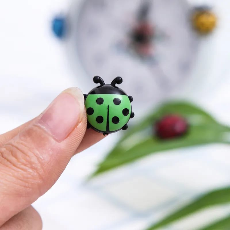 Ladybug Fridge Magnet - Set of 6 - Tinyminymo.com