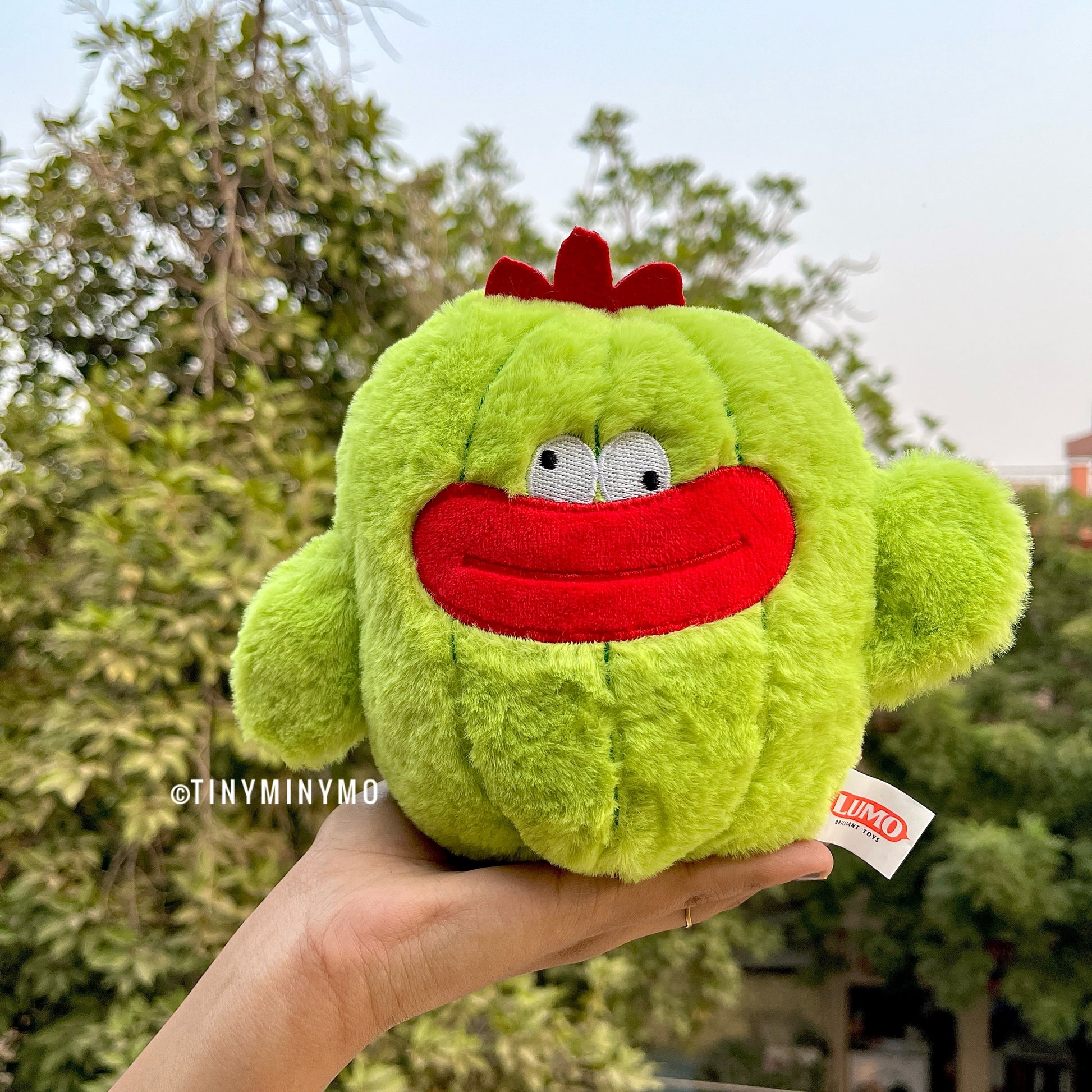Little Cactus Soft Toy - Tinyminymo
