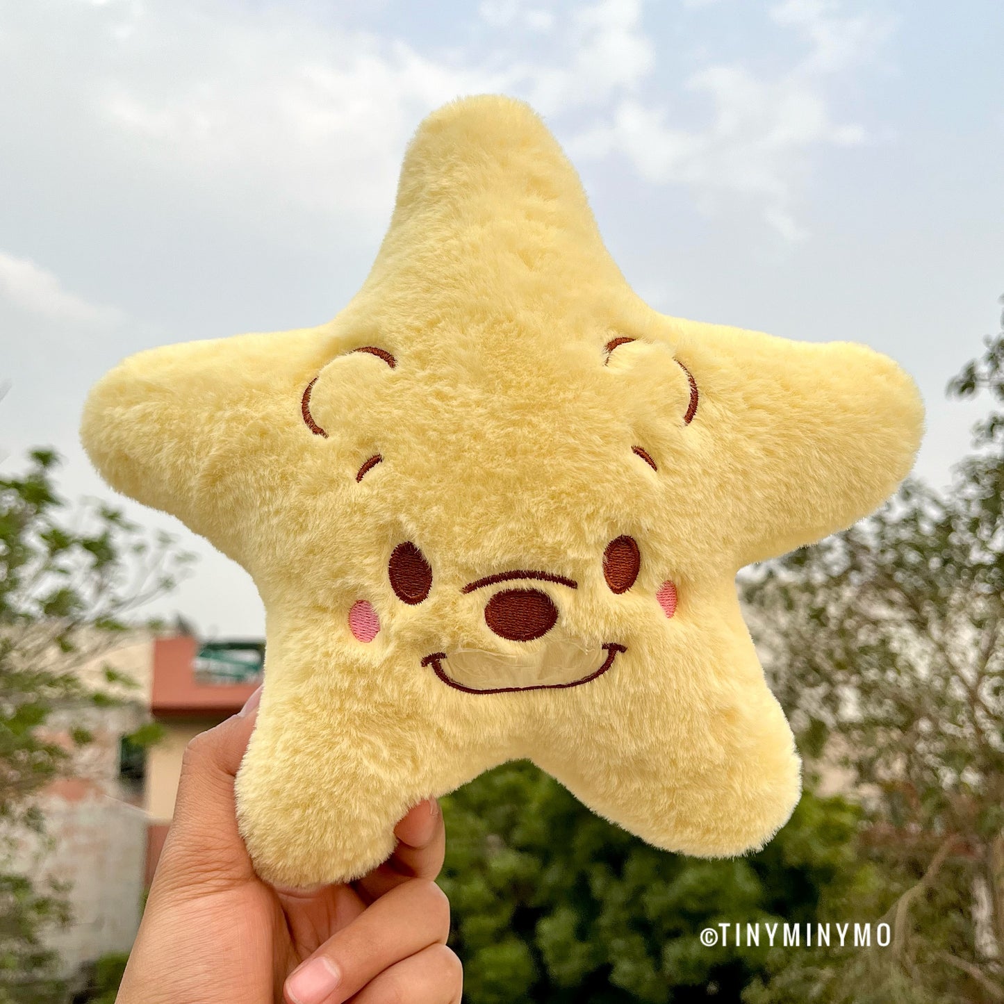 Little Star Cartoon Soft Toy - Tinyminymo