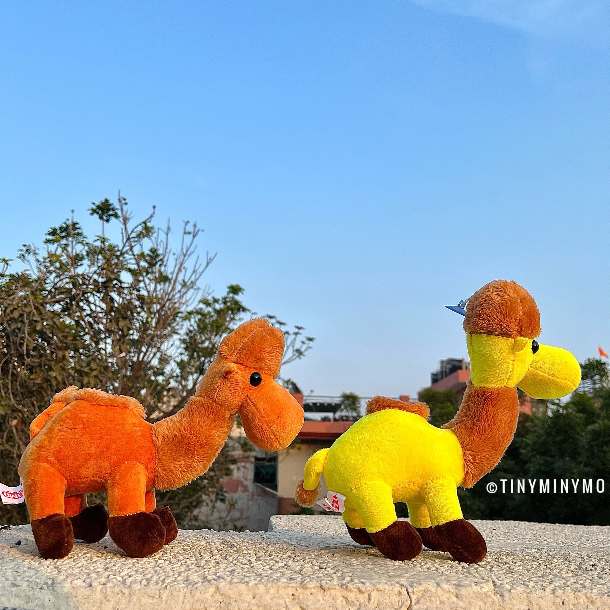 Mini Bactrian Camel Soft Toy - Tinyminymo