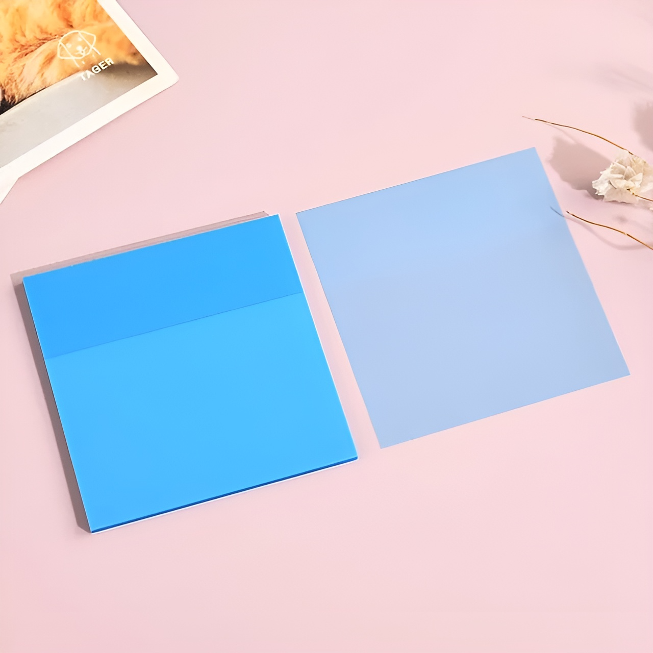 Neon Transparent Sticky Notes - Tinyminymo