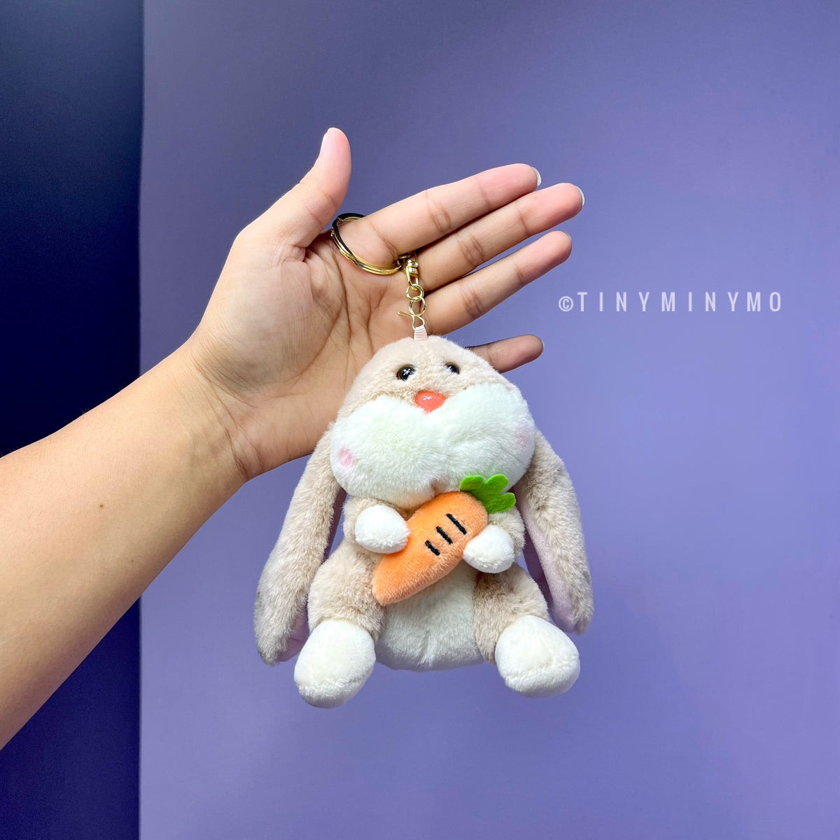 Plush Bunny with Carrot Keychain - Tinyminymo