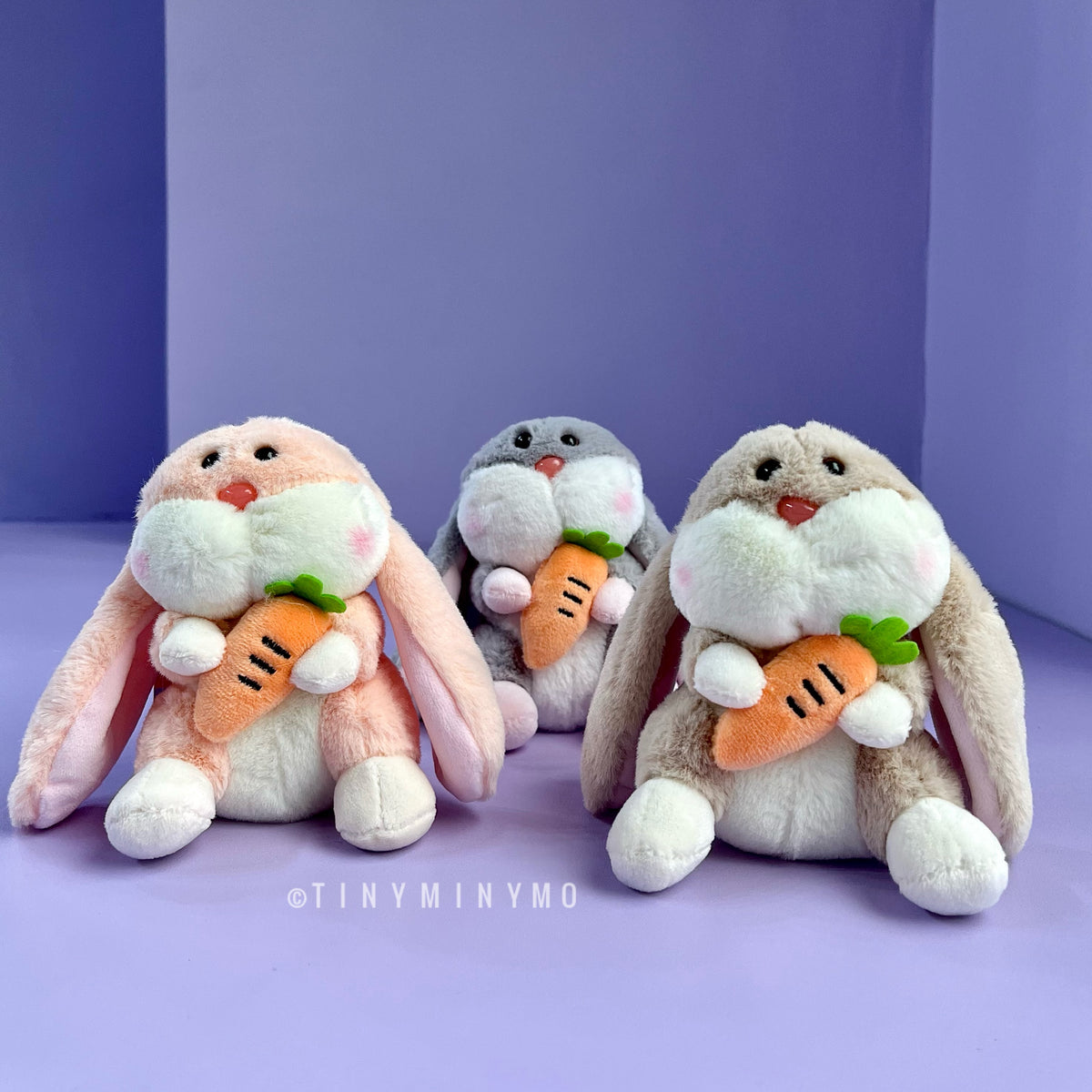 Plush Bunny with Carrot Keychain - Tinyminymo
