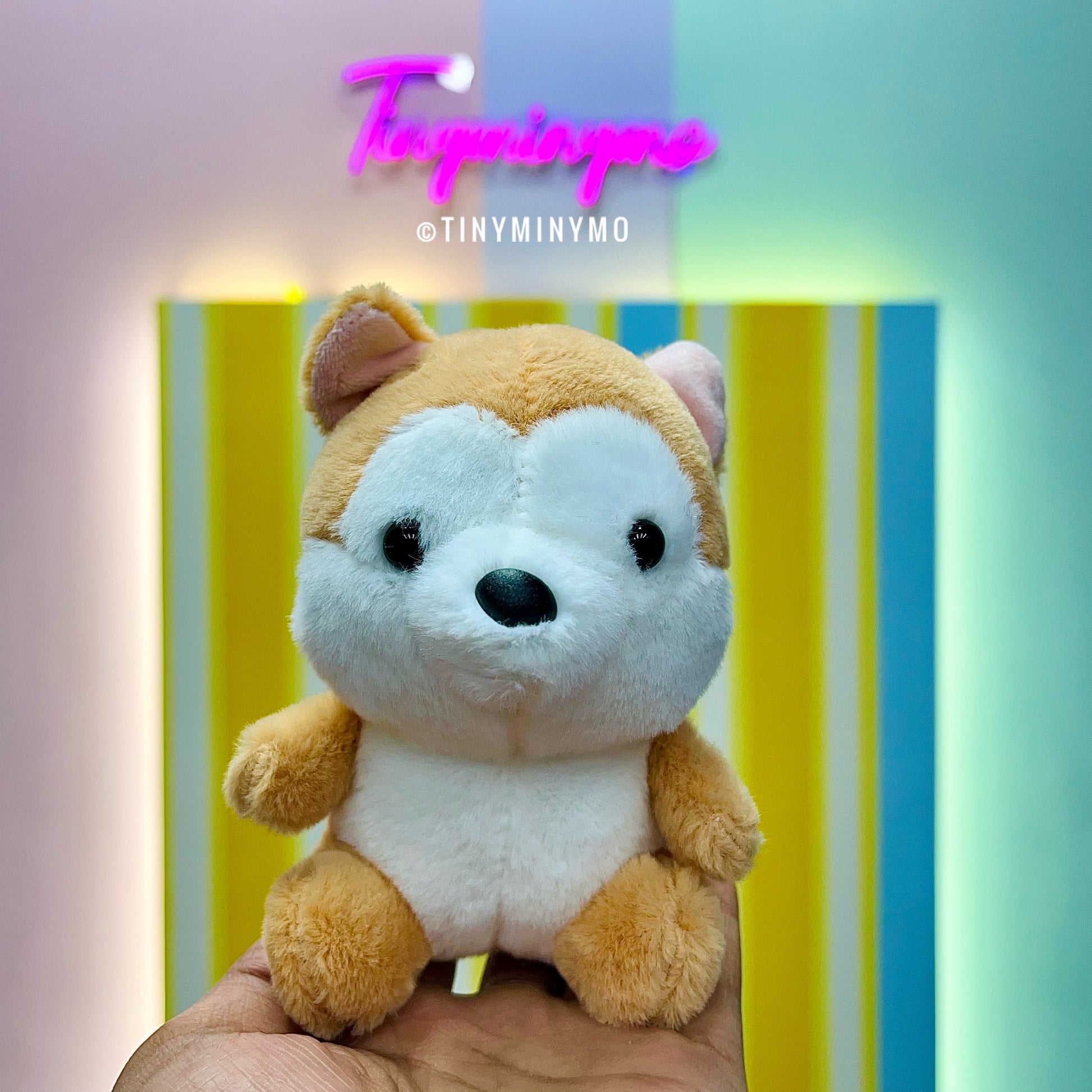 Plush Husky 3D Keychain - Tinyminymo
