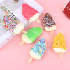 Popsicle Fridge Magnet