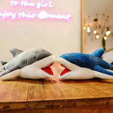 Load image into Gallery viewer, Shark Plush Toy - Tinyminymo
