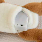 Battery Opening of Bear Plush Toy - Tinyminymo