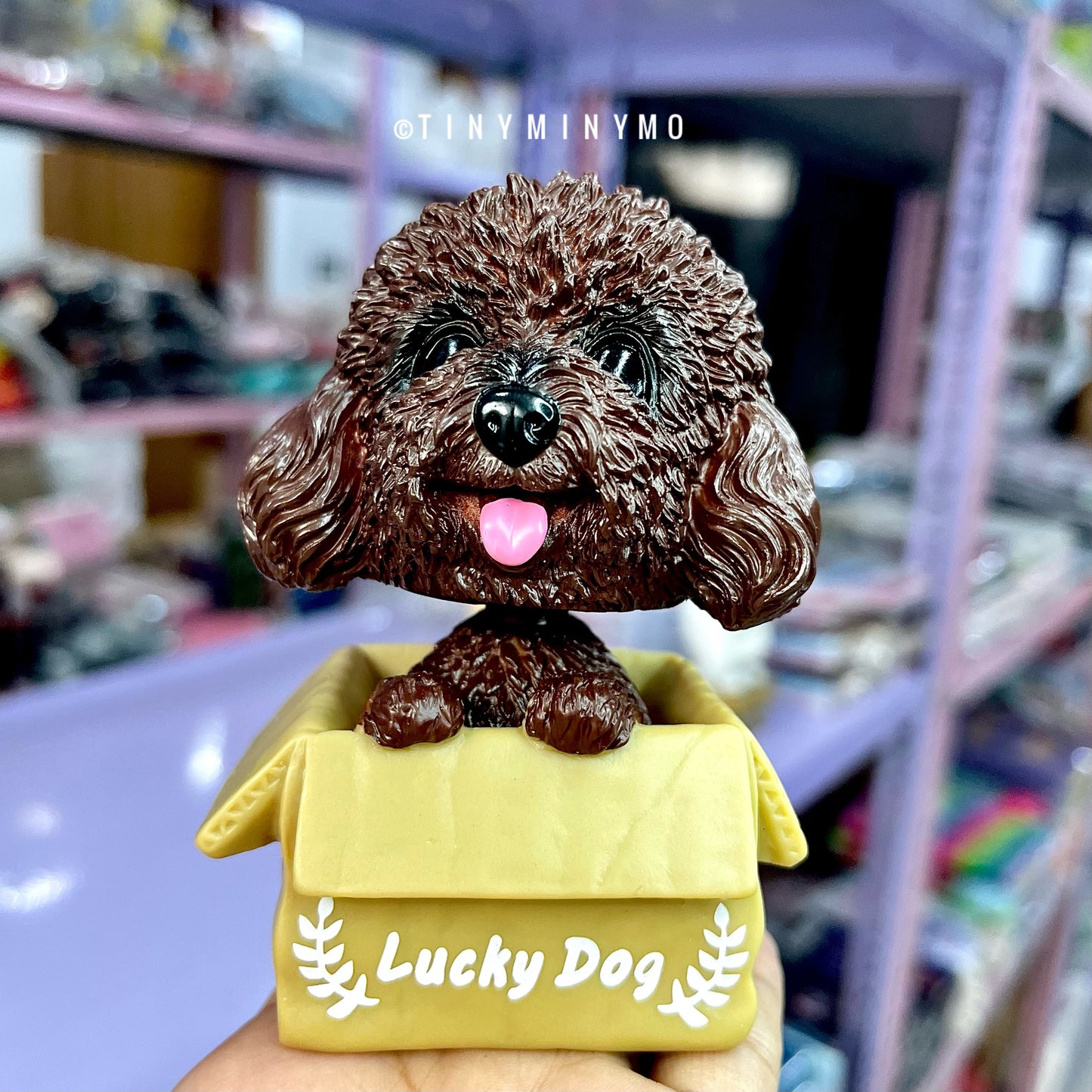 Cute Dog in a Box Bobblehead - Tinyminymo