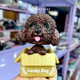 Cute Dog in a box Bobblehead