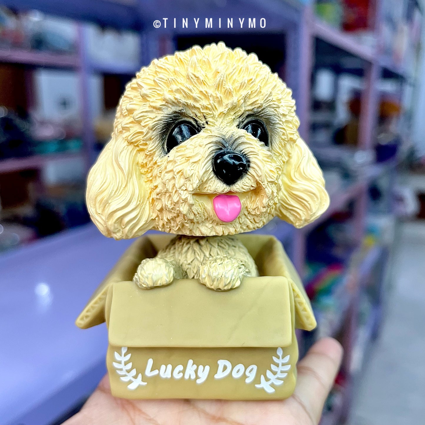 Cute Dog in a Box Bobblehead - Tinyminymo