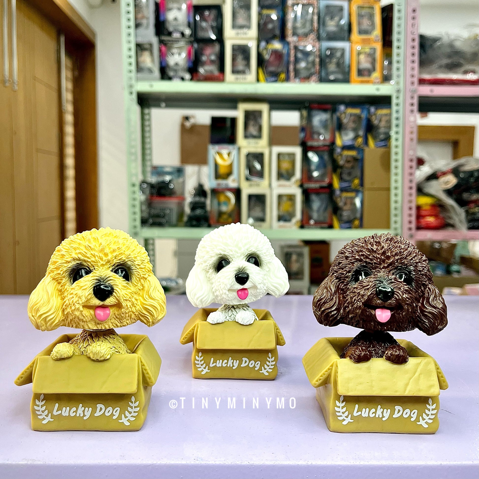 Cute Dog in a Box Bobblehead - Tinyminymo