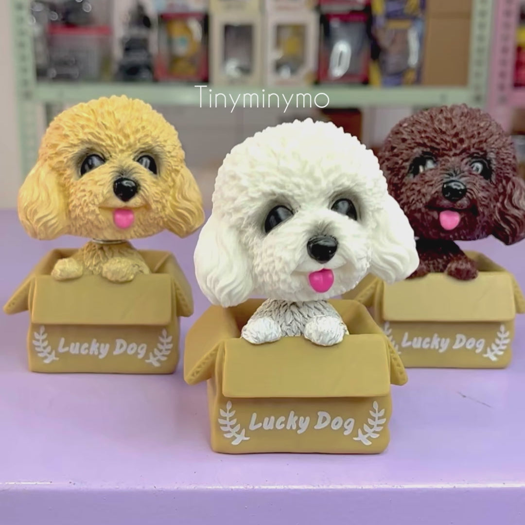 Cute Dog in a Box Bobblehead - Tinyminymo