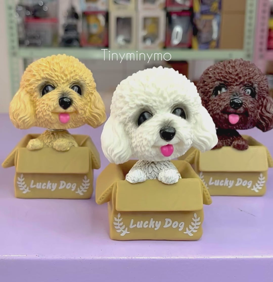 Cute Dog in a Box Bobblehead - Tinyminymo