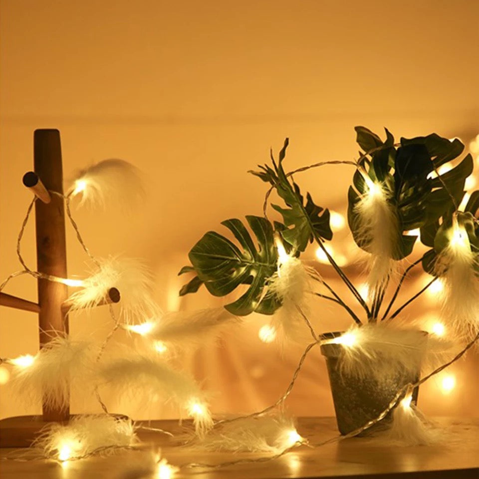Feather String Light